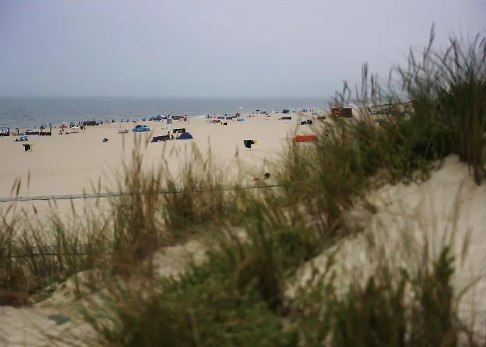 Отель Arcada Тоша